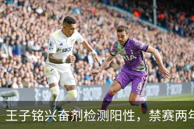 王子铭兴奋剂检测阳性，禁赛两年，大好职业生涯按下暂停键！